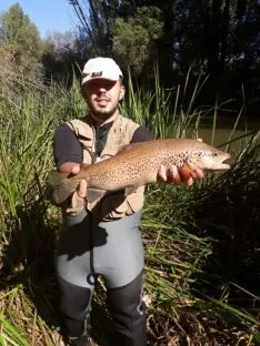 Máster de pesca de salmónidos en el río Duero. Campano Soriano
