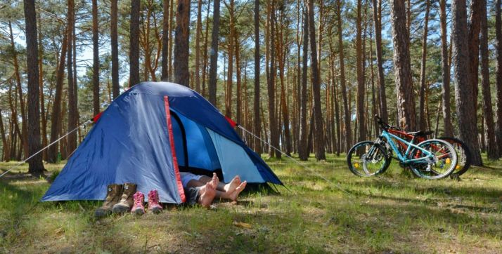 Imagen de un camping de la zona de los Pinares sorianos. /CU
