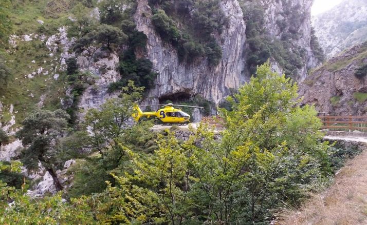 El helicóptero del SEPA en el lugar del suceso. /SEPA