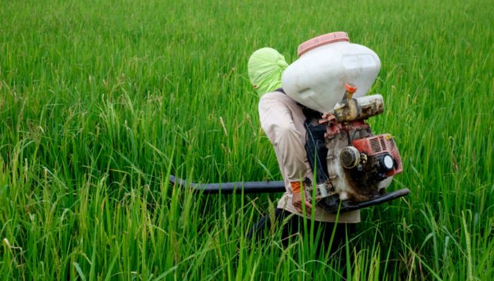 Asaja aborda la eficacia de la fertilización este jueves