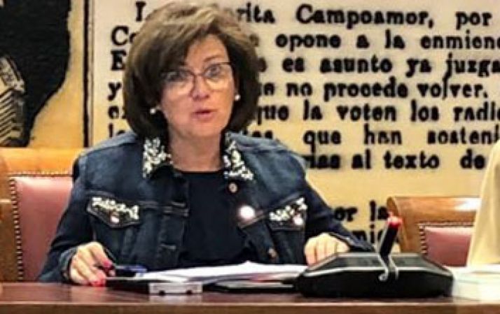 Angulo, en una comparecencia en el Senado. 