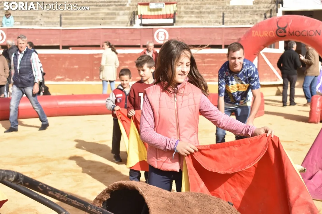 Taurochiquillos en Soria