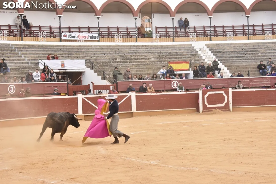 Festival Taurino homenaje a Palomar. 