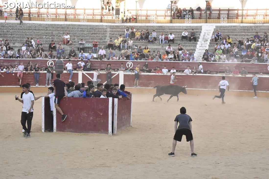 Vaquillas por San Saturio. /EM