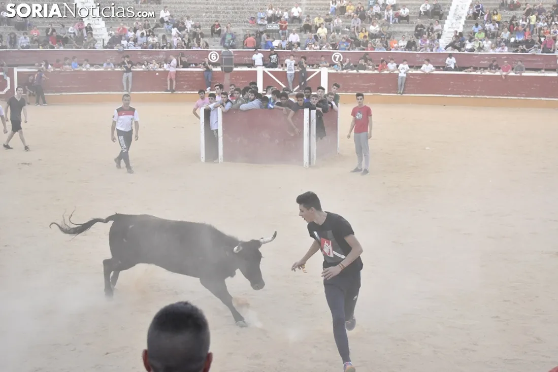 Vaquillas por San Saturio. /EM