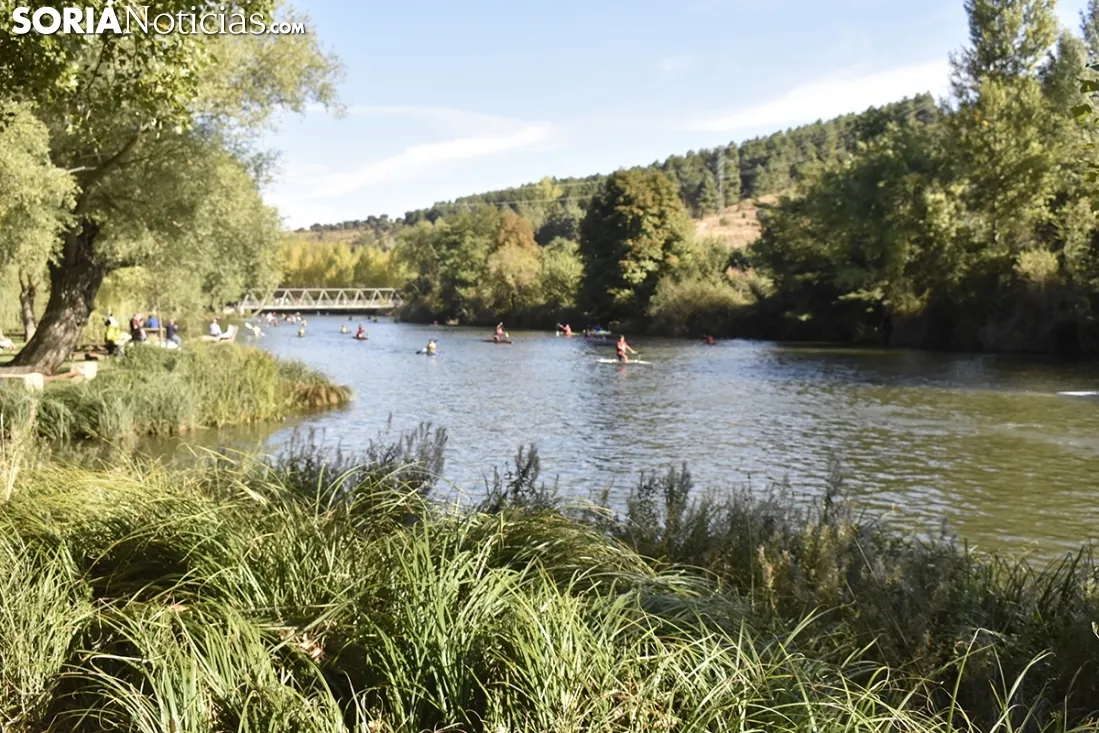 VI Regata San Saturio. /SN