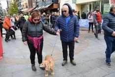 Foto 26 - Galer&iacute;a de la multitudinaria VI edici&oacute;n 'Camino por Soria contra el c&aacute;ncer'  (190 fotos)