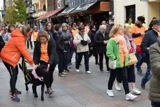 Foto 25 - Galer&iacute;a de la multitudinaria VI edici&oacute;n 'Camino por Soria contra el c&aacute;ncer'  (190 fotos)