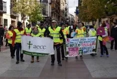 Foto 14 - Galer&iacute;a de la multitudinaria VI edici&oacute;n 'Camino por Soria contra el c&aacute;ncer'  (190 fotos)