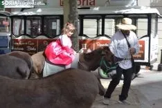 Buen ambiente en el centro de la ciudad. /SN