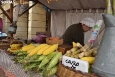 Buen ambiente en el centro de la ciudad. /SN