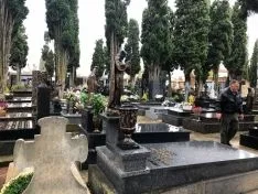 Una imagen del cementerio este miércoles. /Ayto. Olv.
