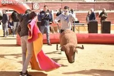 Taurochiquillos en Soria