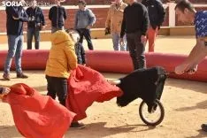 Taurochiquillos en Soria