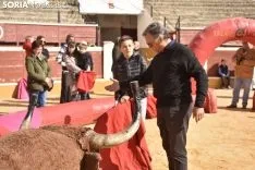 Taurochiquillos en Soria