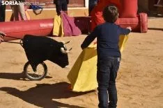 Taurochiquillos en Soria