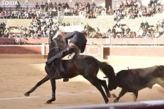 Festival Taurino homenaje a Palomar. 