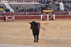 Festival Taurino homenaje a Palomar. 