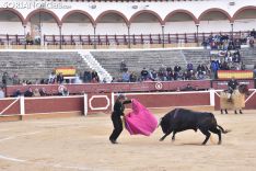 Festival Taurino homenaje a Palomar. 
