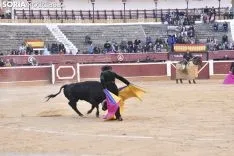 Festival Taurino homenaje a Palomar. 
