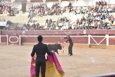 Festival Taurino homenaje a Palomar. 