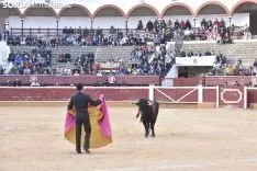 Festival Taurino homenaje a Palomar. 