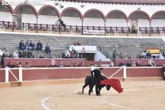 Festival Taurino homenaje a Palomar. 