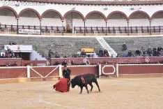 Festival Taurino homenaje a Palomar. 