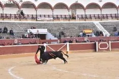 Festival Taurino homenaje a Palomar. 