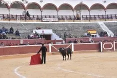 Festival Taurino homenaje a Palomar. 