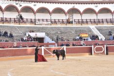 Festival Taurino homenaje a Palomar. 
