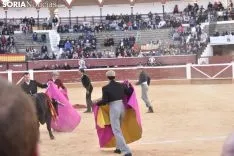 Festival Taurino homenaje a Palomar. 
