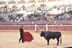 Festival Taurino homenaje a Palomar. 