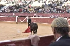 Festival Taurino homenaje a Palomar. 