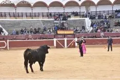 Festival Taurino homenaje a Palomar. 