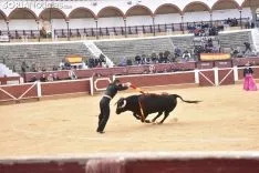 Festival Taurino homenaje a Palomar. 