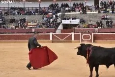Festival Taurino homenaje a Palomar. 