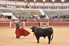 Festival Taurino homenaje a Palomar. 