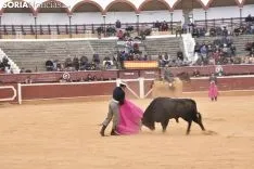 Festival Taurino homenaje a Palomar. 