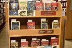 Lectura coninuada de Harry Potter en 15 lenguas.