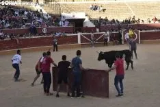 Tarde de vaquillas por San Saturio. /EM