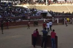 Tarde de vaquillas por San Saturio. /EM