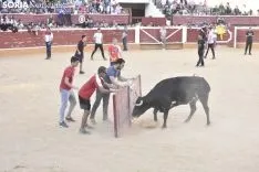 Tarde de vaquillas por San Saturio. /EM