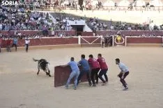 Vaquilla por San Saturio.
