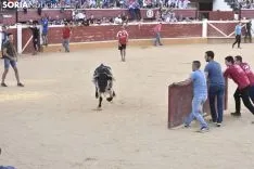 Vaquilla por San Saturio.