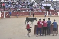 Vaquillas por San Saturio. /EM