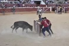 Vaquillas por San Saturio. /EM