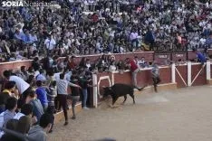 Vaquillas por San Saturio. /EM