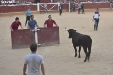 Vaquillas por San Saturio. /EM