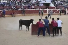 Vaquillas por San Saturio. /EM